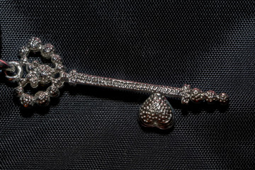 Pink Key Pendant Macro