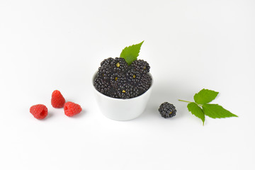 Bowl of fresh blackberries