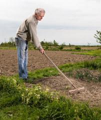 Farmer working in the garden