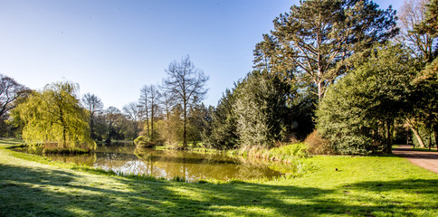 Teich im Bürgerpark von Bremen an einem sonnigen Frühlingstag