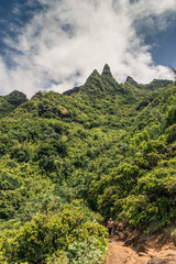 Kalalau Trail in Kauai / Hawaii