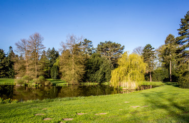 Fototapeta na wymiar Teich im Bürgerpark von Bremen an einem sonnigen Frühlingstag
