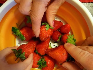 Pazzi per le fragole