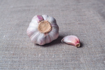 Garlic