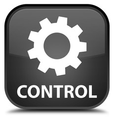 Control (settings icon) black square button