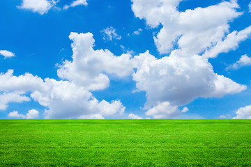 Green grass with sky and cloud 