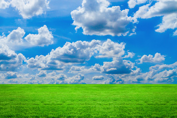 Green grass with sky and cloud 