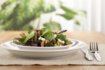 one serving of fresh green salad