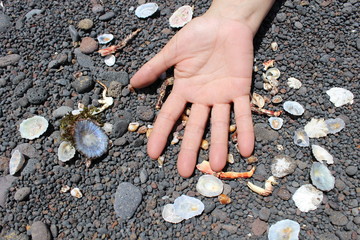 Mano sobre arena negra y caracolas