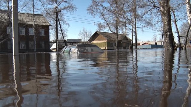 Car During a Flood. During the flood flooded car, houses and trees. Because the water is only visible to the car roof. Disaster

