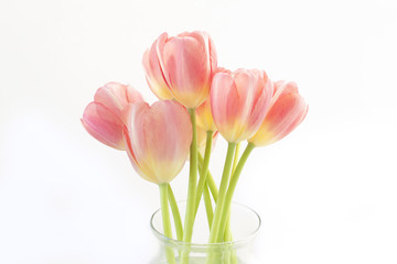 Group of tulips in a vase