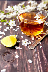 Leisure concept . Cup of tea with a lemon and cherry blossoms on an old wooden background