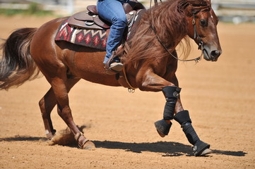 Fragment of the side view of a rider on a horseback during the NRHA competition.