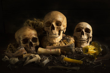 Many skulls on wood board and a candle, still life style