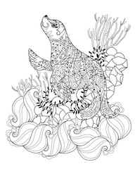 Hand drawn doodle outline sea lion.