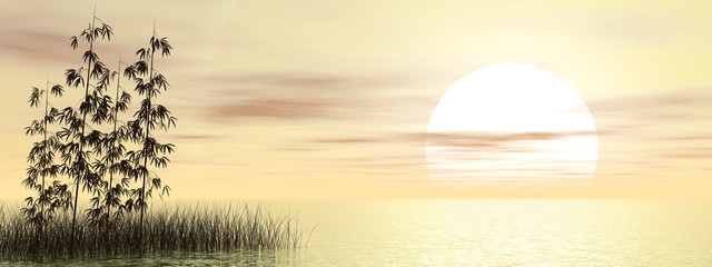 Fototapeta premium Bamboos by sunset - 3D render