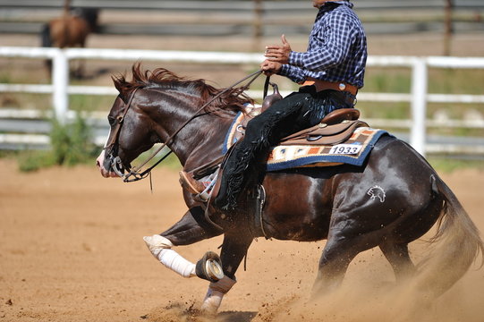 The side view of a rider stopping a horse in the sand.