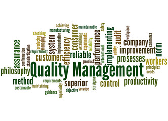 Quality Management, word cloud concept 8
