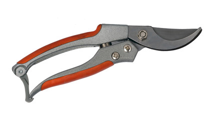 garden secateurs isolated on a white background