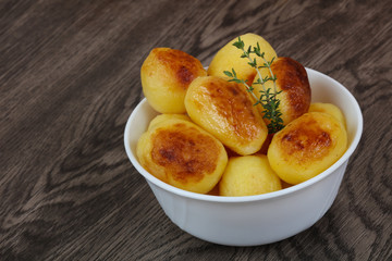 Golden backed potato