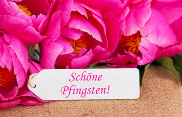 Schöne Pfingsten! Pfingstrosen