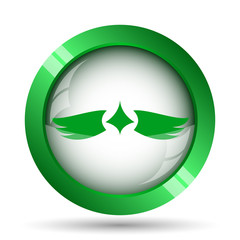 Wings icon