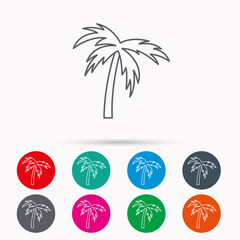 Palm tree icon. Travel or vacation symbol.