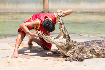 Lebensgefährlicher Versuch... Kopf im Krokodilmaul
