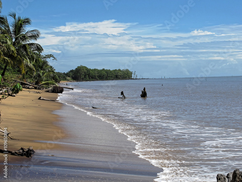 Plage De Belle Terre De La Commune De Tonate Macouria En