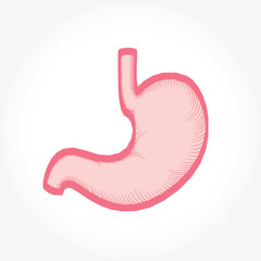 Fototapeta premium Stomach hand drawn sketch icon. Stomach symbol isolated.
