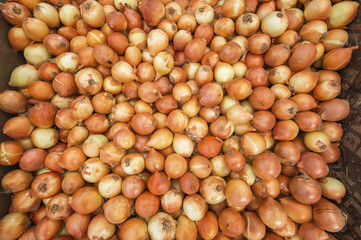 farmers market on streets on istanbul