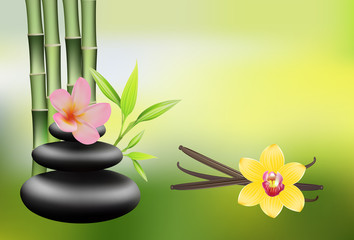 spa  basalt stones and orchid on green background