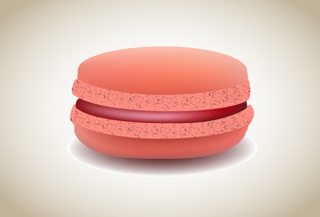 macaroons flavors vector on white background