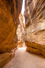 Hiking through the canyon in the ancient city of Petra (Jordan)