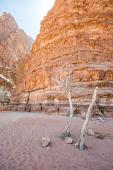 Mouth of Khazali Canyon in Wadi Rum (Jordan)