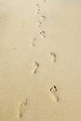 Fototapeta na wymiar footprints in the sand beach