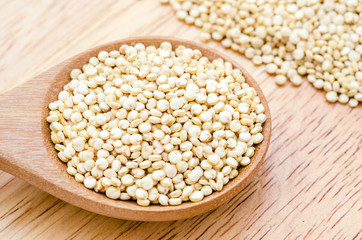 Chenopodium quinoa in wooden spoon.
