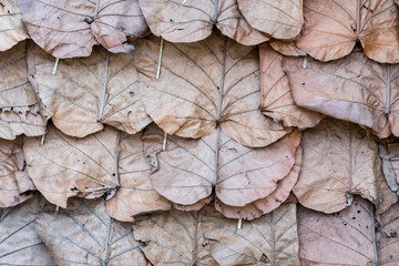 Dry leaves roof