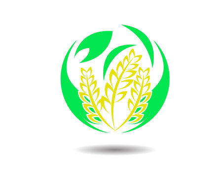 Organic Wheat Logo