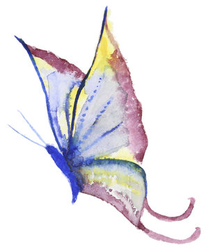 Abstract Watercolor hand drawn butterfly