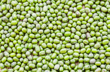 Green bean or mung bean background