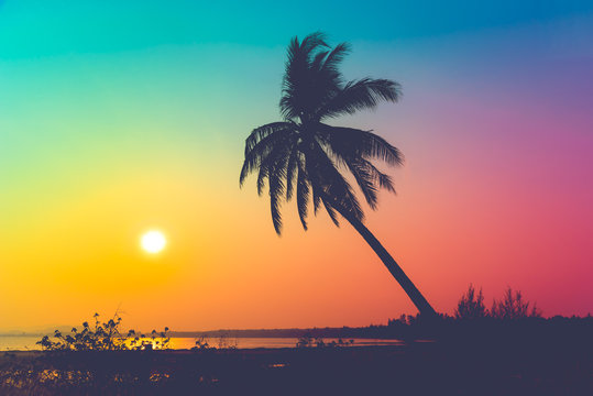 Silhouette coconut palm trees on beach at sunset. Vintage tone.