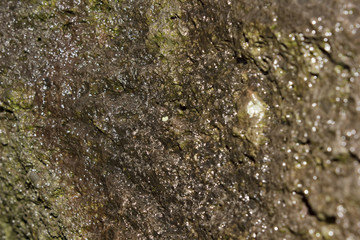 Surface rock wet