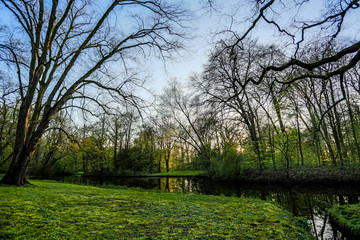 Obraz premium Sonnenuntergang in einer Parklandschaft in Bremen