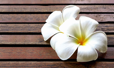 frangipani on wood table background  [blur and selective focus background]