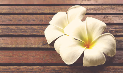 frangipani on wood table background, vintage tone [blur and selective focus background]