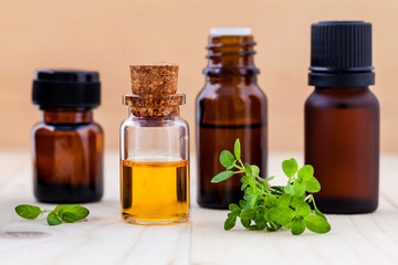 Fresh  lemon thyme  leaves  and essential oil with shallow depth