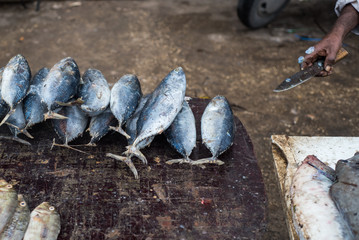 Fresh fish market in Africa