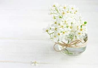 White spring orchard blossom in handmade vase - glass jar with twine ribbon. Soft light, soft focus. 