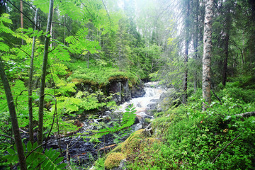 Obraz premium landscape in the spring forest small waterfall stream